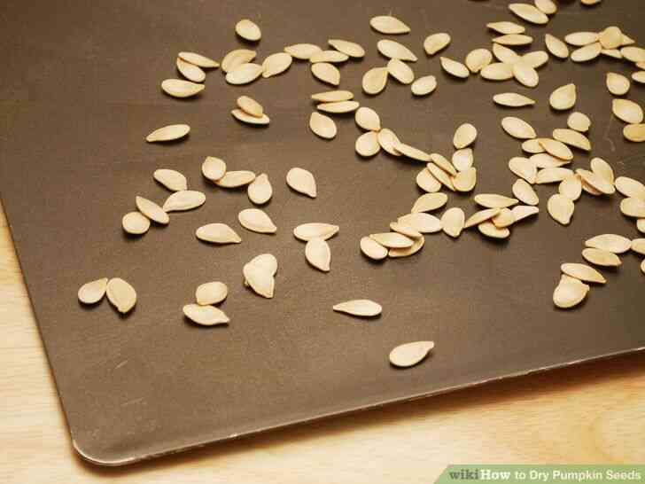 Image intitulée Sec les Graines de Citrouille à l
